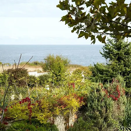 펜션 Art Provence House 로제넷츠