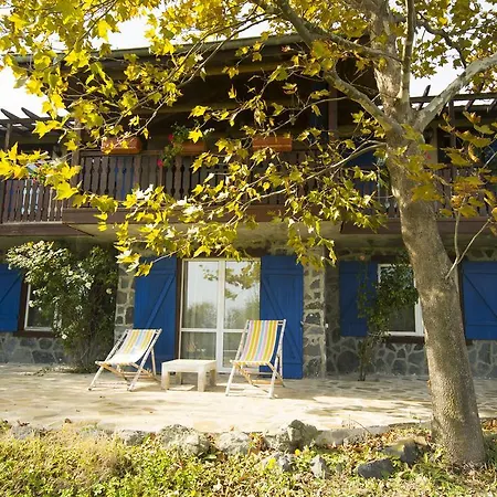 Art Provence House 로제넷츠
